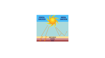 Neurotoxic Effect of Active Chemical UV Filters in Sunscreen Products