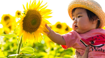 The FDA and American Academy of Pediatric Issues Warning for Parents about using certain Sunscreens that can cause Side effects on Children and Infants