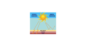Neurotoxic Effect of Active Chemical UV Filters in Sunscreen Products