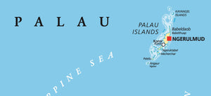 Palau is Set to Become the First Country to Impose a Widespread Ban on the Sale and Use of Sunscreen and Skincare Products that Contain a List of Ten Different Chemicals